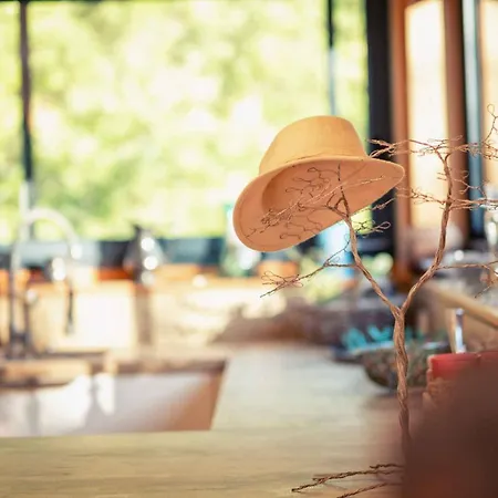 L'ecrin De Bois - Maison D'architecte Avec Sur Un Grand Terrain Arbore Vakantiehuis Cahuzac-sur-Vère