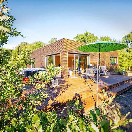 L'ecrin De Bois - Maison D'architecte Avec Sur Un Grand Terrain Arbore