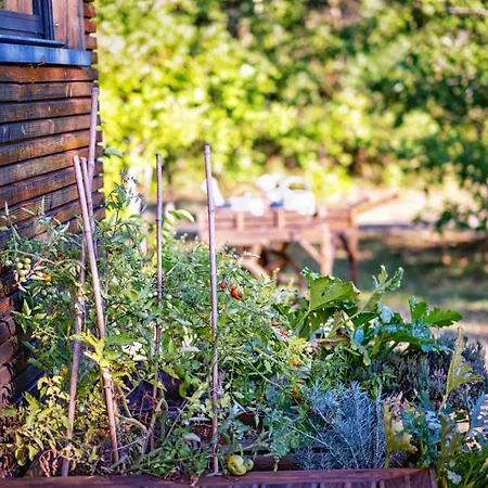 L'ecrin De Bois - Maison D'architecte Avec Sur Un Grand Terrain Arbore Vakantiehuis *