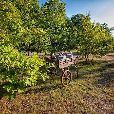 L'ecrin De Bois - Maison D'architecte Avec Sur Un Grand Terrain Arbore Holiday home