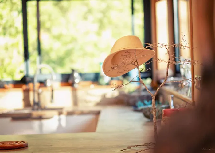 L'ecrin De Bois - Maison D'architecte Avec Sur Un Grand Terrain Arbore Σπίτι διακοπών Cahuzac-sur-Vère